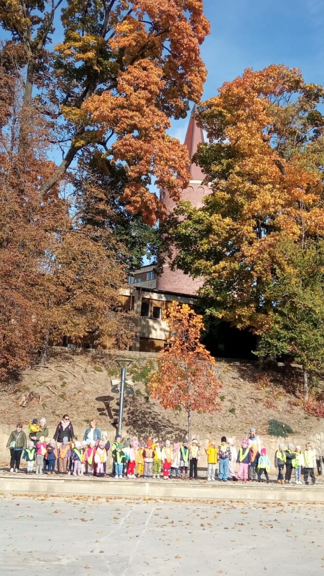 WhatsApp Image 2025 01 18 at 14.35.33