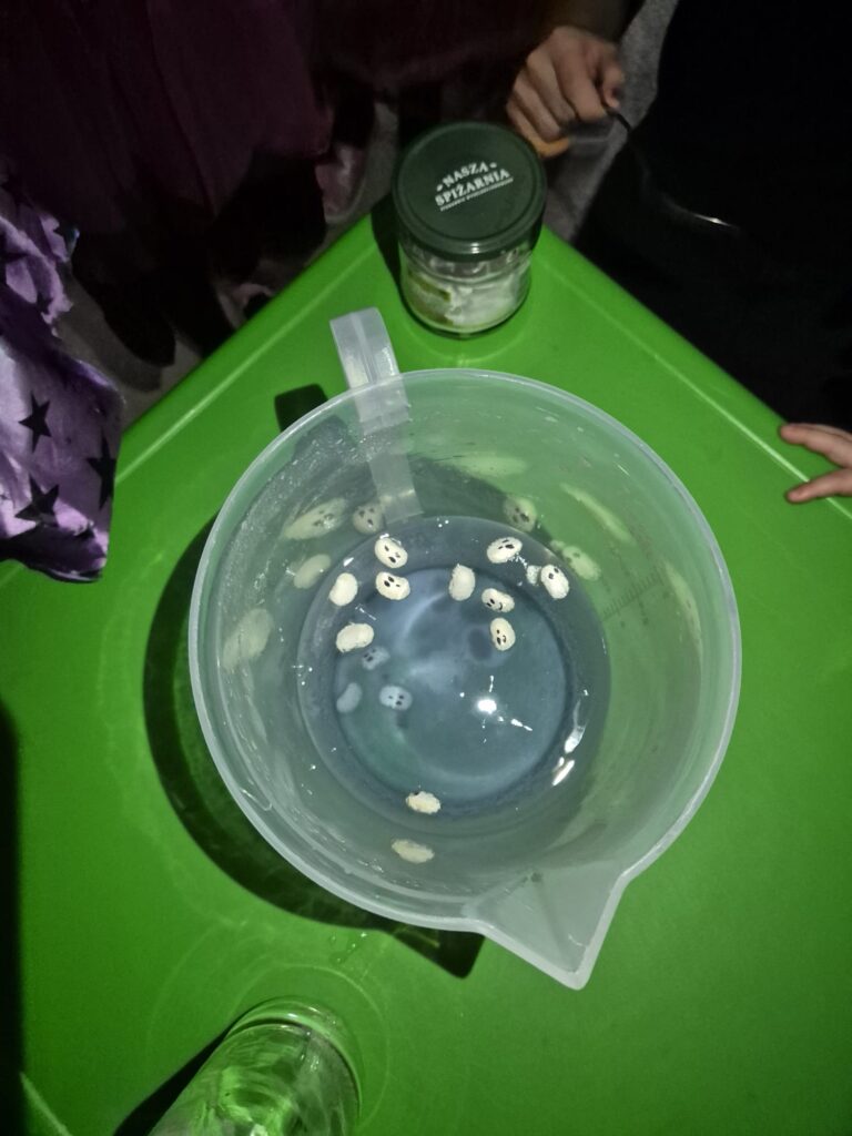 WhatsApp Image 2026 02 22 at 15.56.03(3)